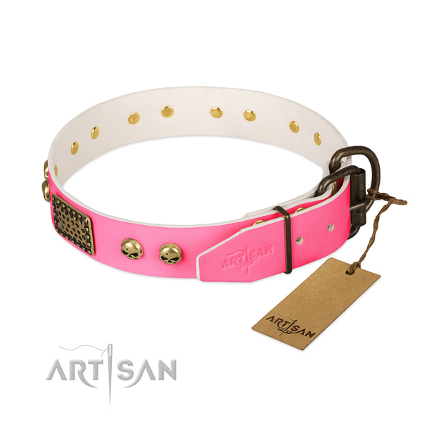 Corrosion resistant embellishments on full grain leather dog collar for your four-legged friend