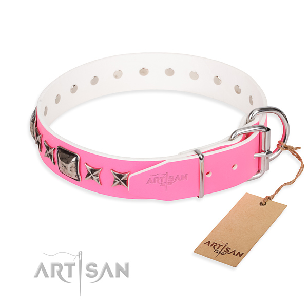 Top notch studded dog collar of genuine leather