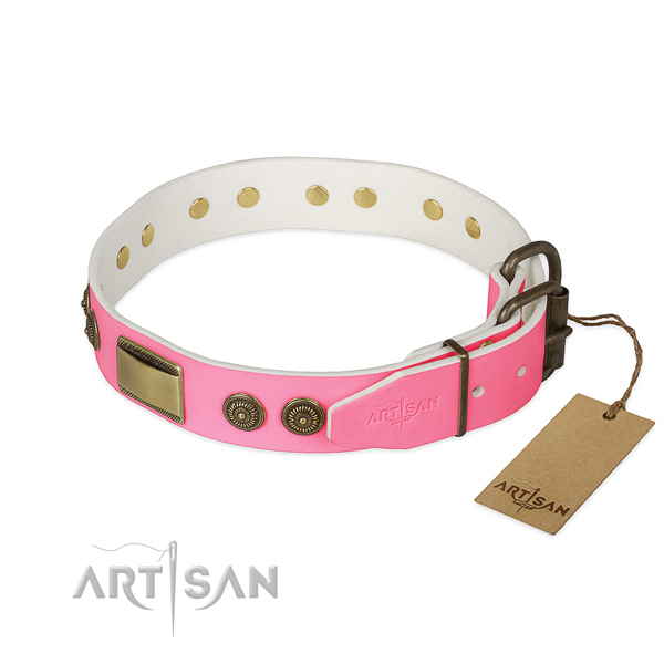Corrosion proof decorations on easy wearing dog collar