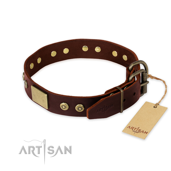 Corrosion proof decorations on easy wearing dog collar