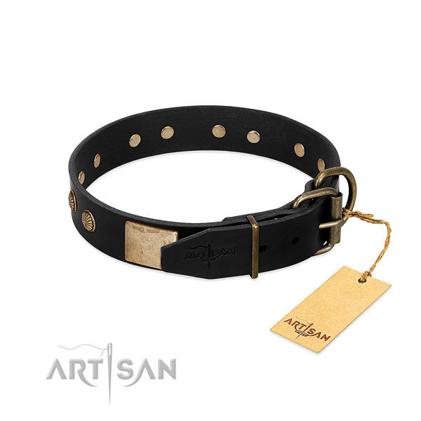 Reliable embellishments on handy use dog collar
