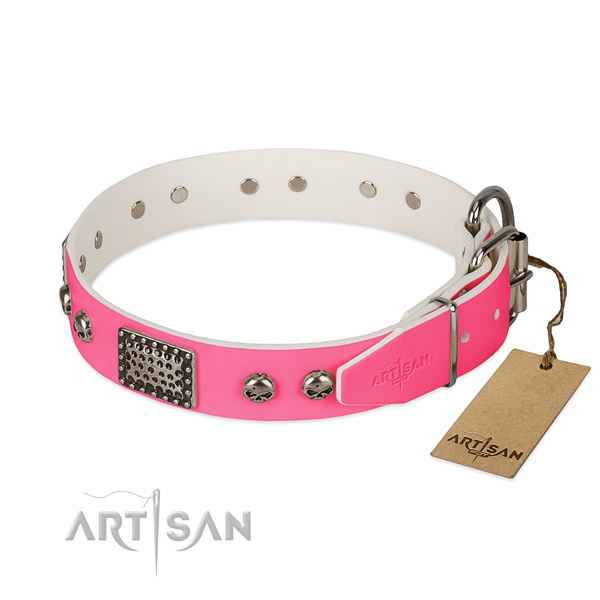 Rust resistant hardware on daily use dog collar