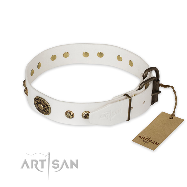 Strong fittings on leather collar for daily walking your four-legged friend