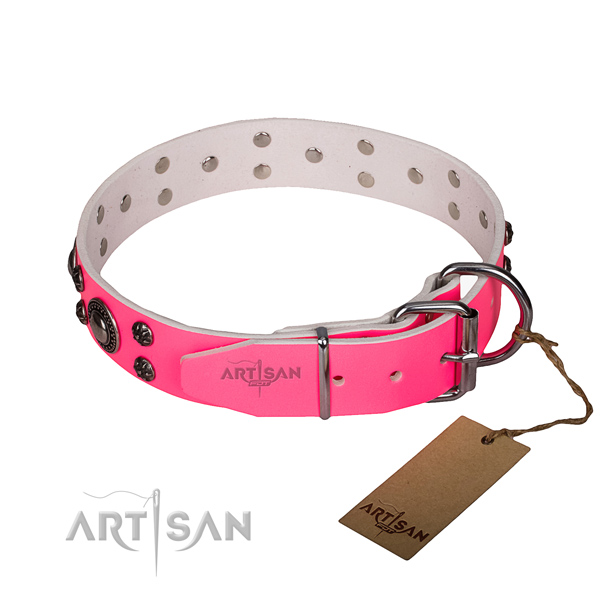 Daily use adorned dog collar of reliable full grain natural leather