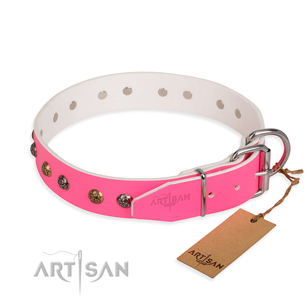 Full grain leather dog collar with trendy corrosion resistant studs