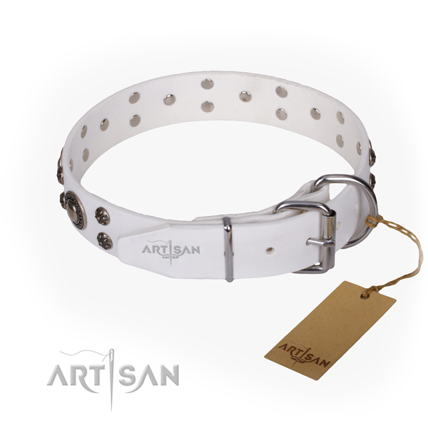 Everyday walking decorated dog collar of fine quality full grain natural leather