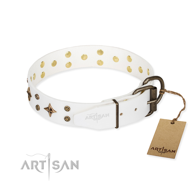 Walking embellished dog collar of strong full grain genuine leather