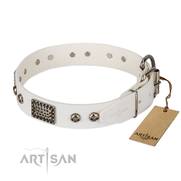 Strong D-ring on handy use dog collar