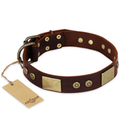 "Shining Armour" FDT Artisan Brown Leather Golden Retriever Collar with Decorations