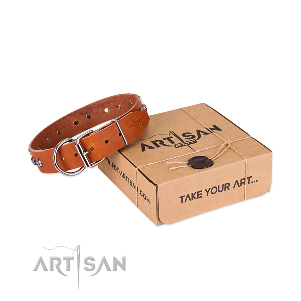 Corrosion resistant D-ring on dog collar for handy use