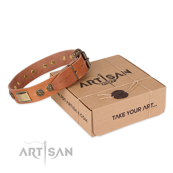 Corrosion resistant D-ring on natural genuine leather dog collar for walking