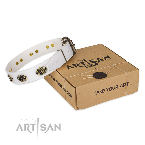 Reliable hardware on full grain leather collar for your handsome four-legged friend