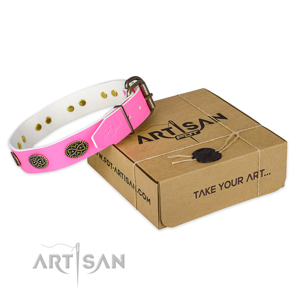 Rust resistant studs on dog collar for handy use