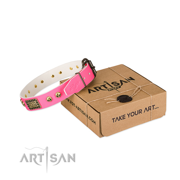 Corrosion resistant adornments on dog collar for handy use