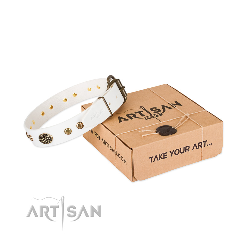 Reliable traditional buckle on full grain natural leather dog collar for your dog