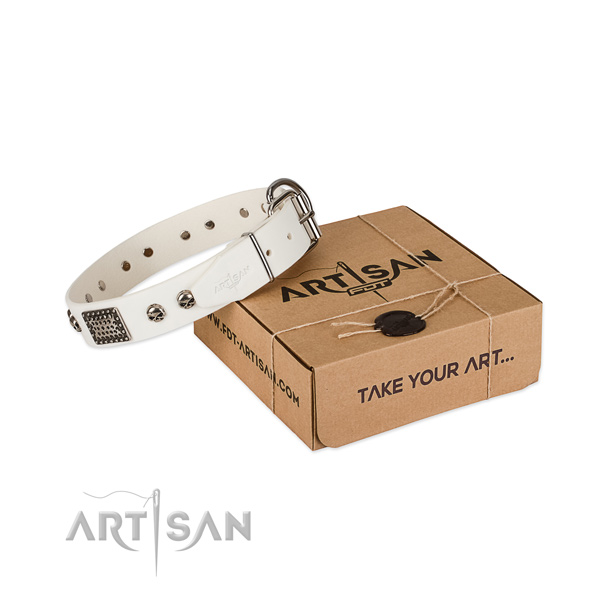 Corrosion resistant studs on dog collar for easy wearing