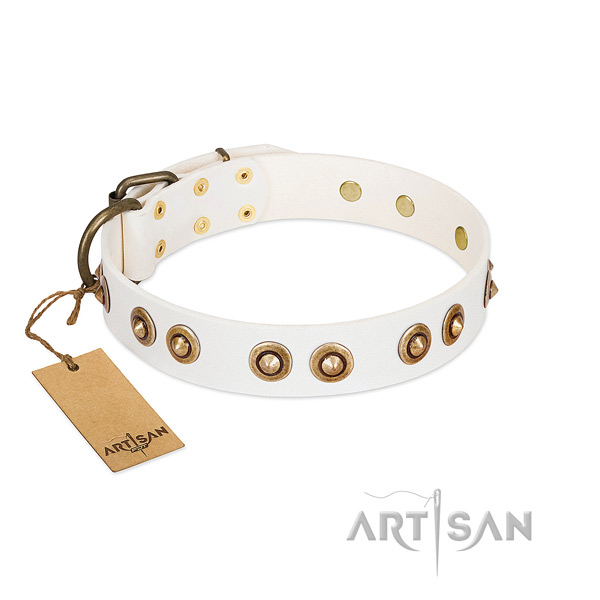 Trendy natural leather collar for your doggie