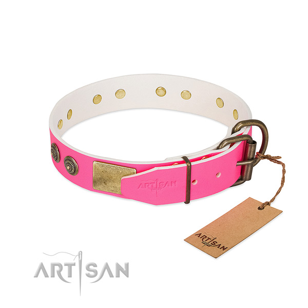 Rust-proof buckle on full grain leather collar for everyday walking your canine