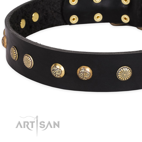 Full grain natural leather collar with strong D-ring for your attractive four-legged friend