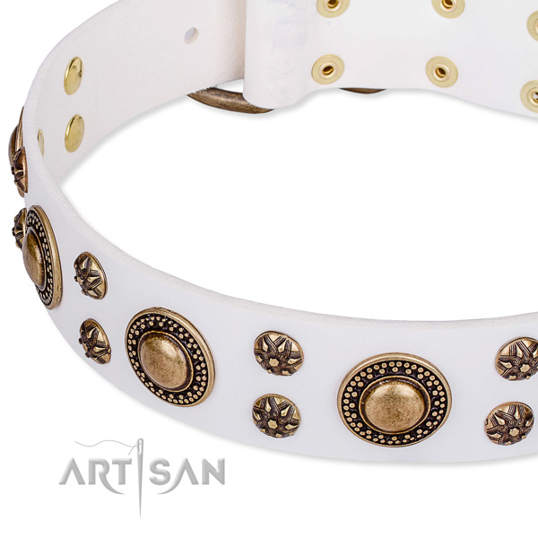 Walking adorned dog collar of reliable full grain leather