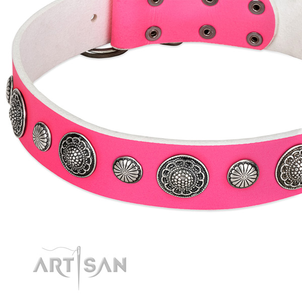 Leather collar with reliable buckle for your lovely dog