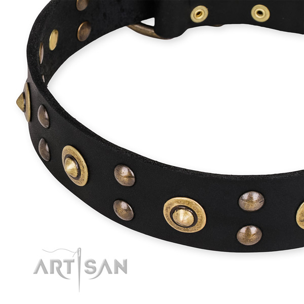 Genuine leather collar with strong traditional buckle for your impressive pet