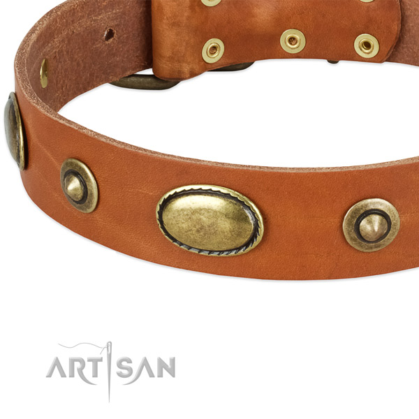 Rust-proof embellishments on full grain natural leather dog collar for your four-legged friend