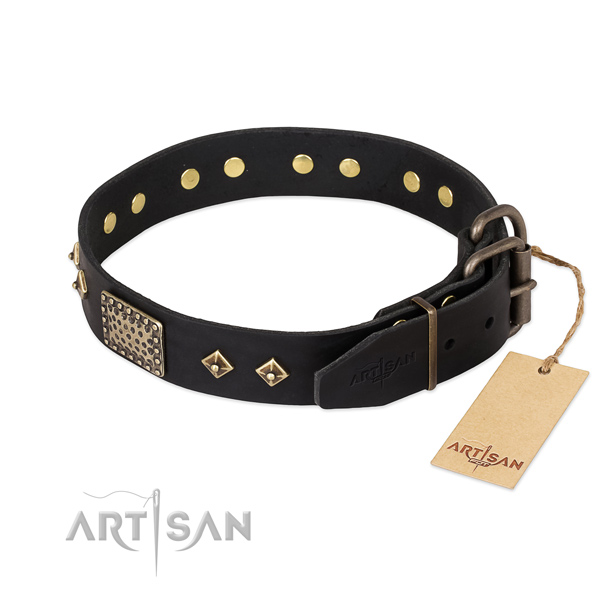 Genuine leather dog collar with reliable D-ring and adornments