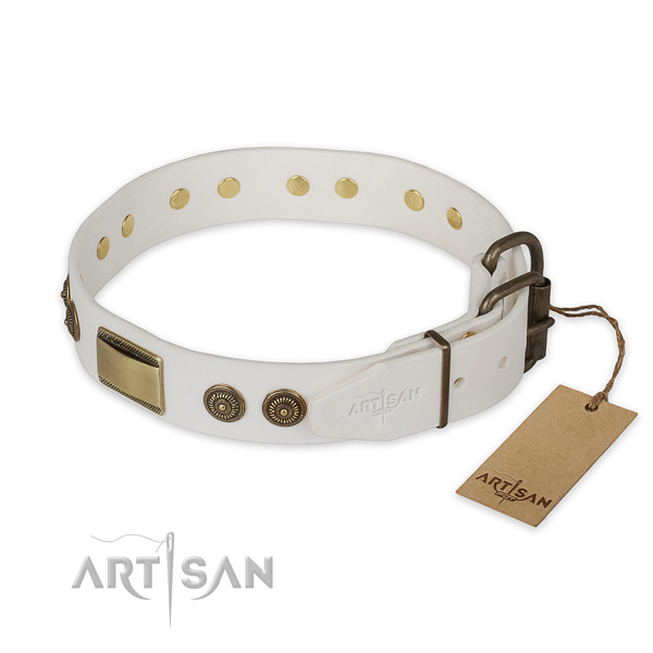 Durable buckle on full grain natural leather collar for stylish walking your doggie
