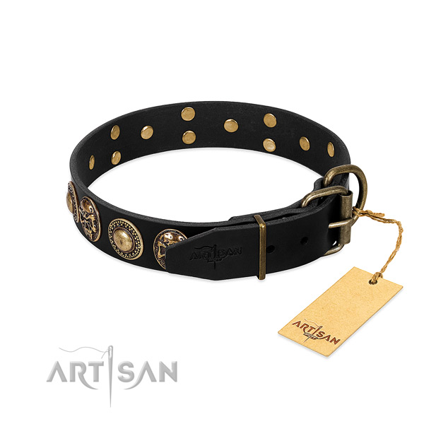 Corrosion resistant buckle on handy use dog collar