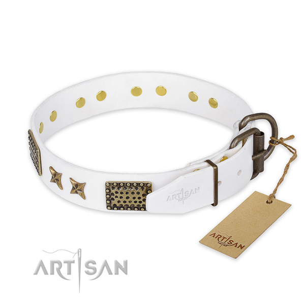 Corrosion proof D-ring on natural genuine leather collar for your attractive doggie