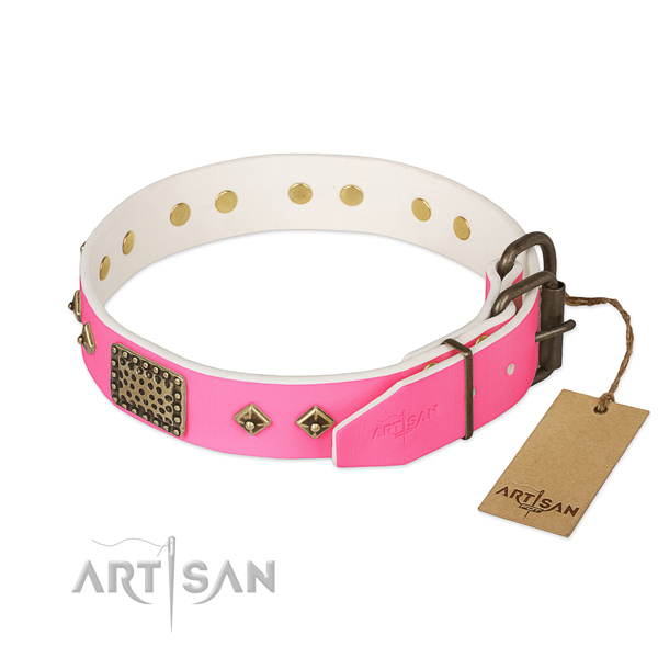 Rust resistant hardware on handy use dog collar