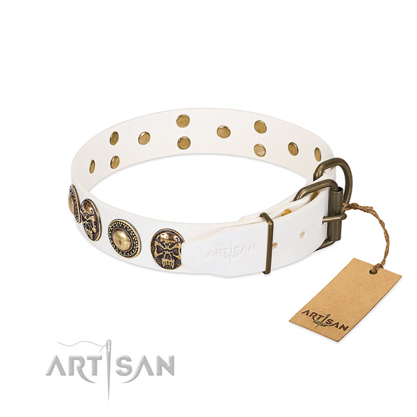 Reliable D-ring on comfy wearing dog collar