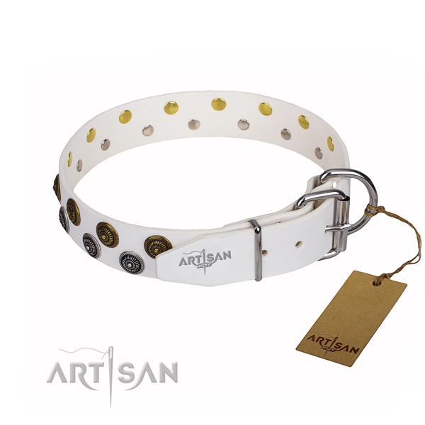 Stylish walking adorned dog collar of top quality full grain leather