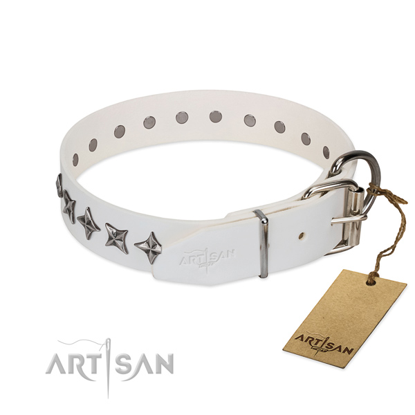 Top quality full grain natural leather dog collar with incredible embellishments