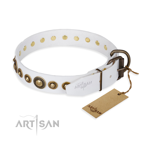 High quality leather dog collar handcrafted for everyday walking