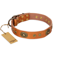 "Dandy Pet" FDT Artisan Handcrafted Tan Leather Golden Retriever Collar