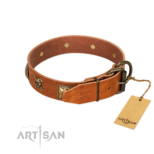 Designer leather dog collar with durable embellishments