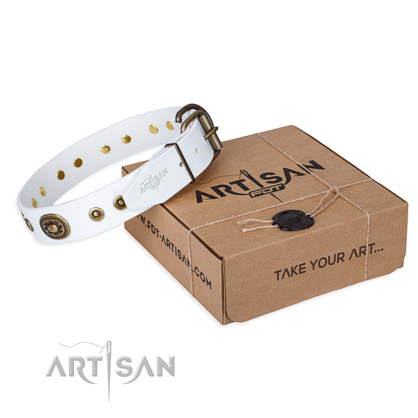 Full grain natural leather dog collar made of soft material with rust-proof fittings