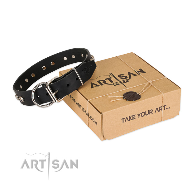 Corrosion proof embellishments on dog collar for comfortable wearing