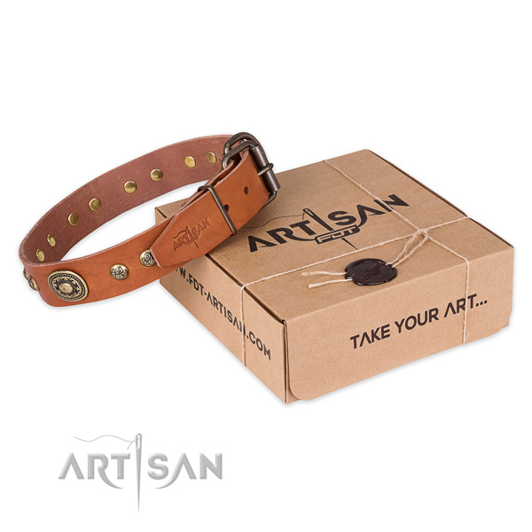 Rust resistant D-ring on full grain leather dog collar for basic training