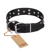 "Mystic Skulls" Decorated Leather Golden Retriever Collar with Skulls and Studs