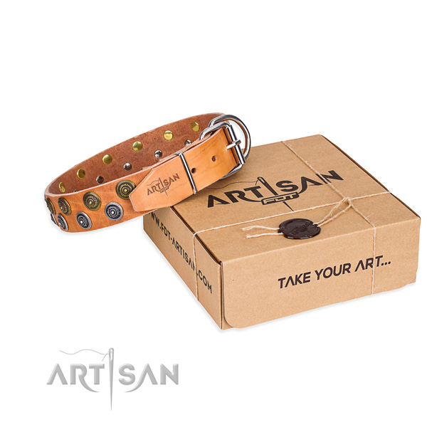 Everyday walking dog collar of reliable full grain genuine leather with studs