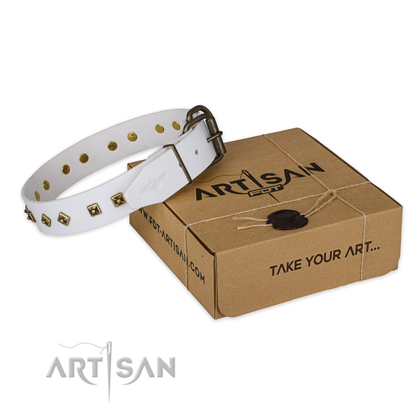 Strong hardware on genuine leather dog collar for everyday use