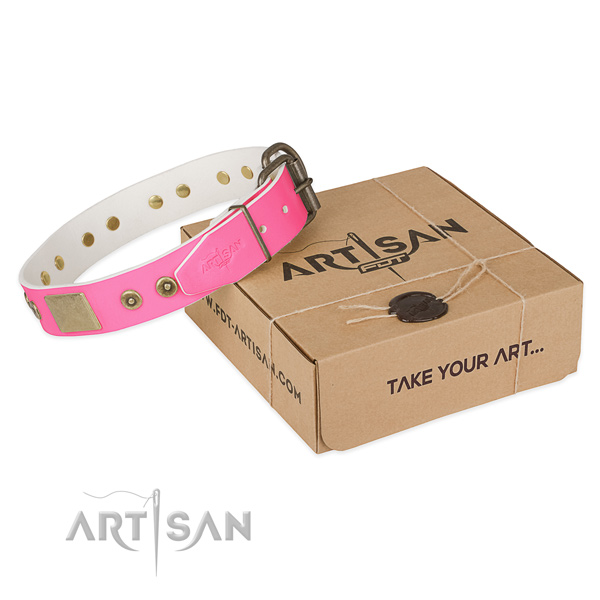 Durable adornments on dog collar for walking