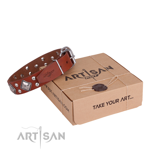 Walking dog collar with Unusual corrosion resistant adornments