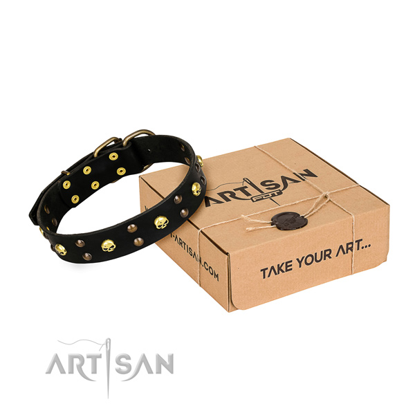 Fancy walking dog collar of quality genuine leather with studs