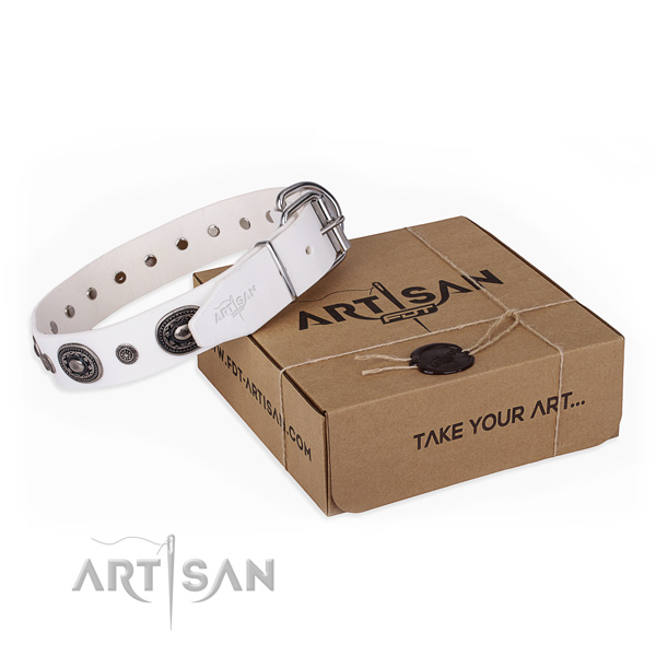 Flexible genuine leather dog collar crafted for fancy walking