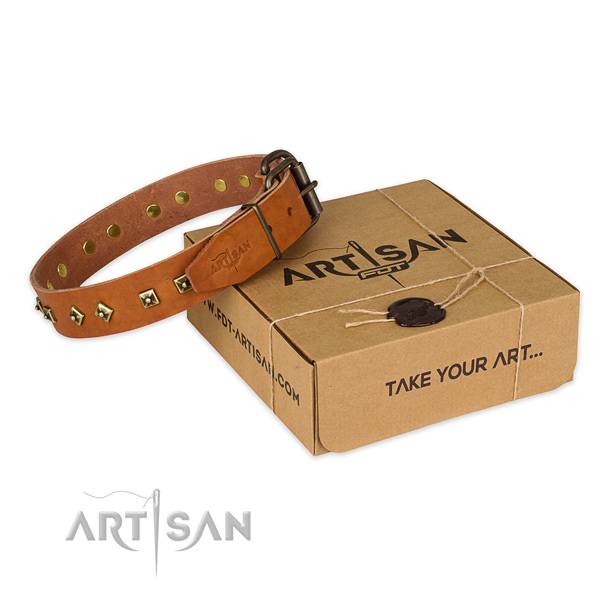 Strong buckle on leather dog collar for everyday walking