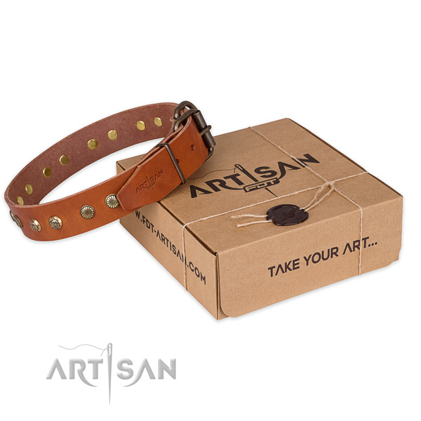 Corrosion resistant hardware on leather collar for your lovely canine